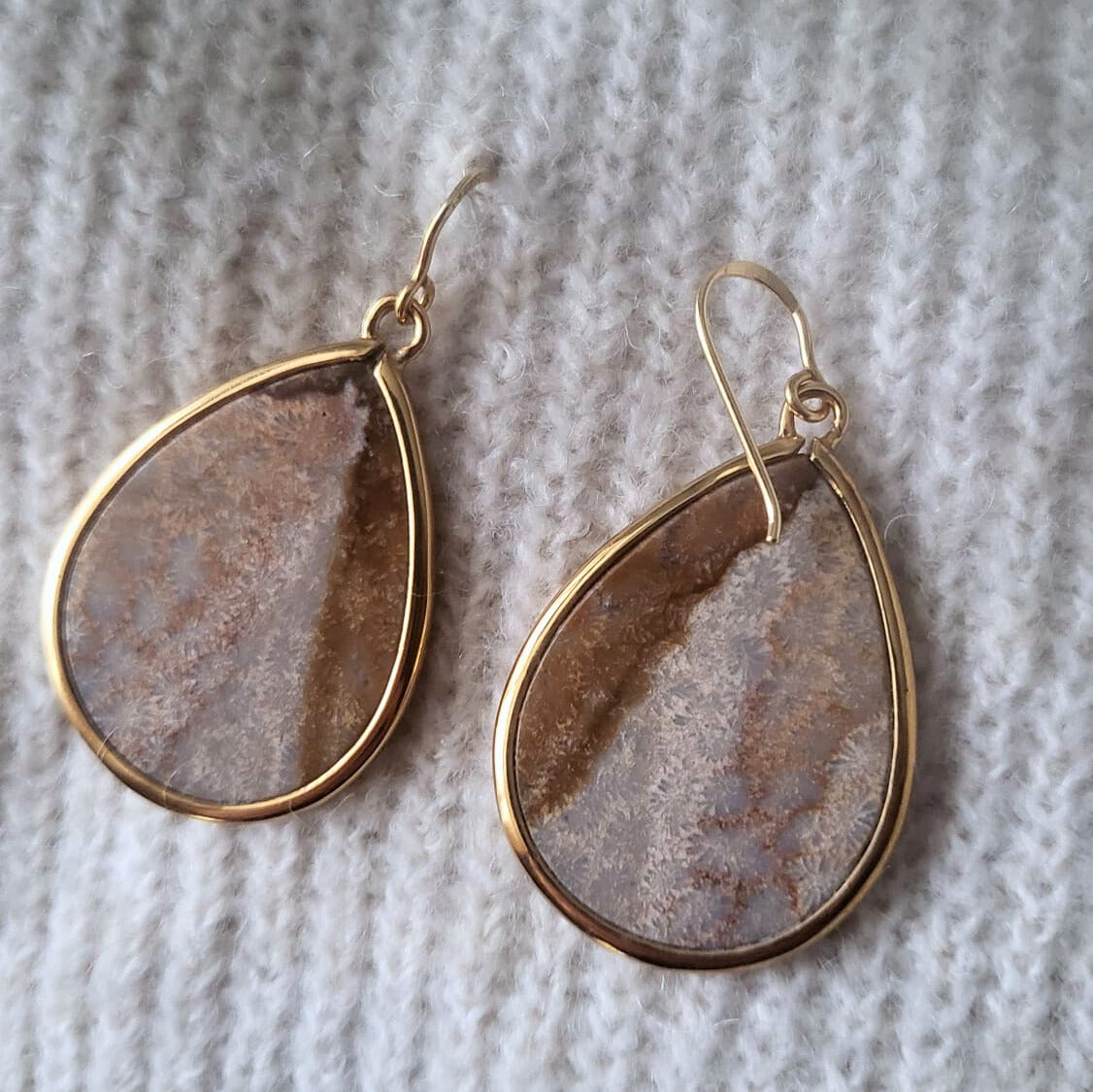 Barse Bronze Earrings Fossil Coral