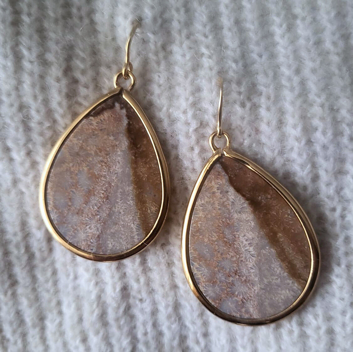 Barse Bronze Earrings Fossil Coral