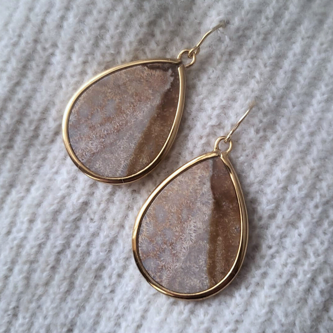 Barse Bronze Earrings Fossil Coral
