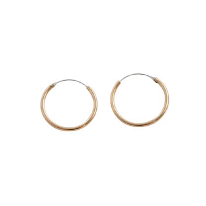 Barse Brons en Zilver Oorringen 3cm