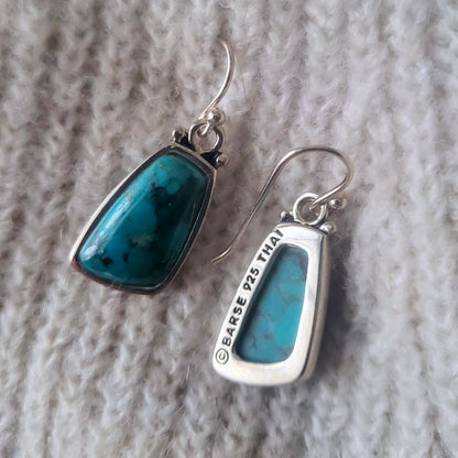 Barse Zilver Oorhangers Abstract Turquoise